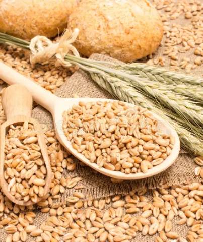 Wholesome Wheat & Grains