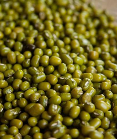 Protein-Rich Moong