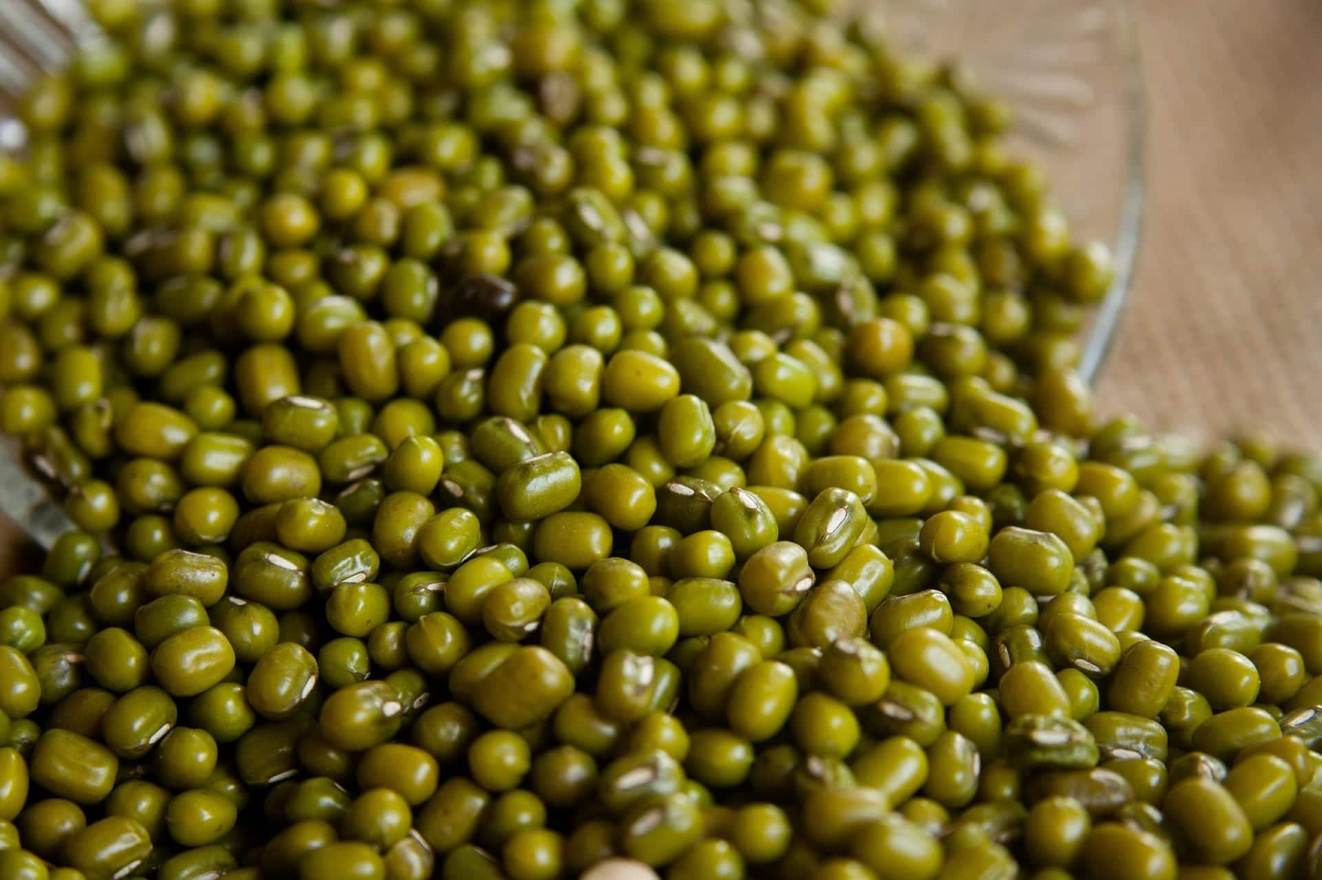 Organic Green Moong Beans